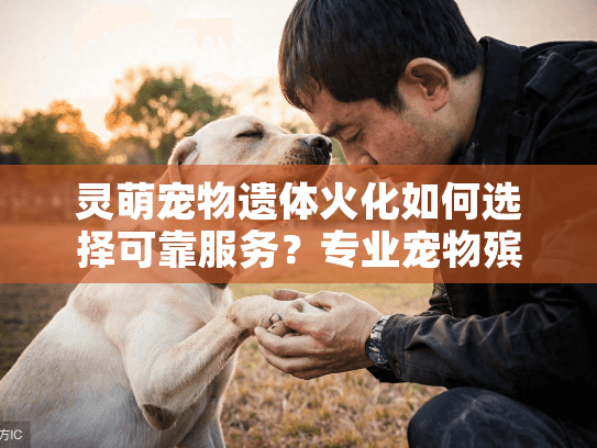 灵萌宠物遗体火化如何选择可靠服务？专业宠物殡葬指南解析