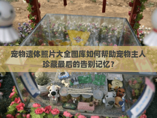 宠物遗体照片大全图库如何帮助宠物主人珍藏最后的告别记忆？
