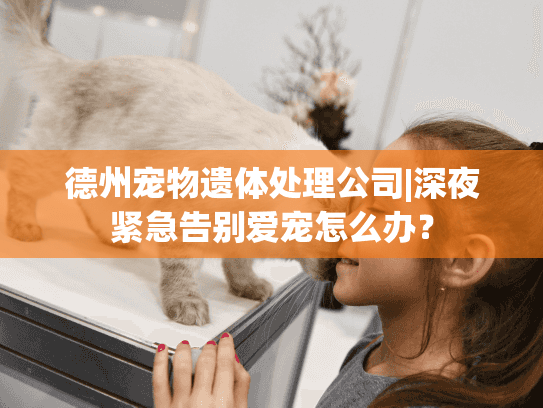 德州宠物遗体处理公司|深夜紧急告别爱宠怎么办？