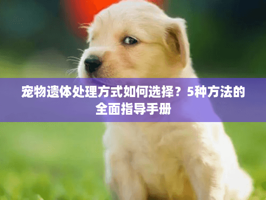 宠物遗体处理方式如何选择？5种方法的全面指导手册