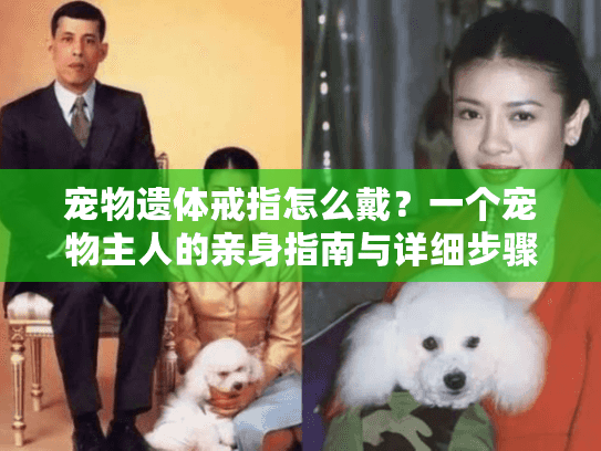 宠物遗体戒指怎么戴？一个宠物主人的亲身指南与详细步骤