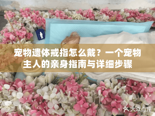 宠物遗体戒指怎么戴？一个宠物主人的亲身指南与详细步骤