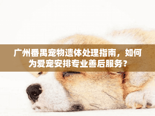 广州番禺宠物遗体处理指南，如何为爱宠安排专业善后服务？