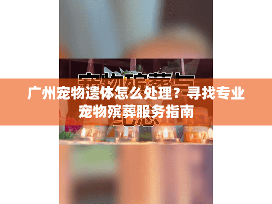 广州宠物遗体怎么处理？寻找专业宠物殡葬服务指南