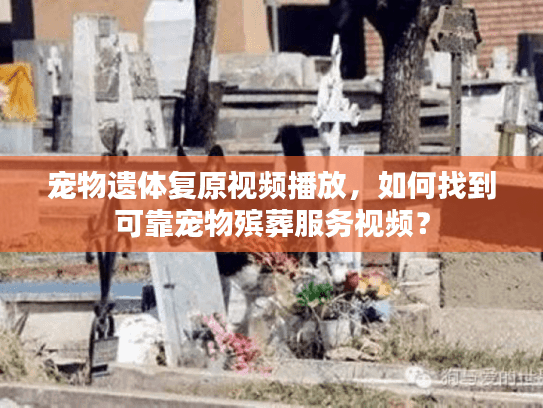 宠物遗体复原视频播放，如何找到可靠宠物殡葬服务视频？