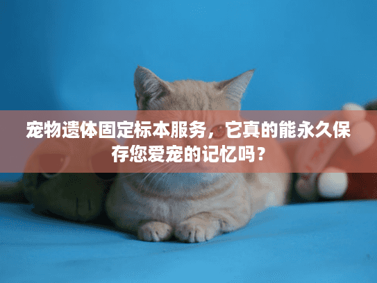 宠物遗体固定标本服务，它真的能永久保存您爱宠的记忆吗？