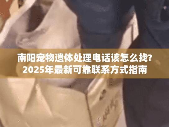 南阳宠物遗体处理电话该怎么找?2025年最新可靠联系方式指南