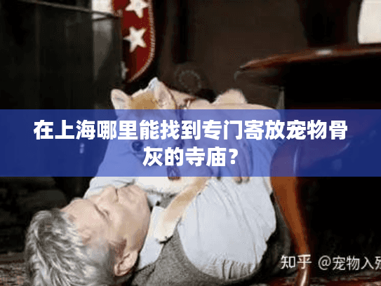 在上海哪里能找到专门寄放宠物骨灰的寺庙？