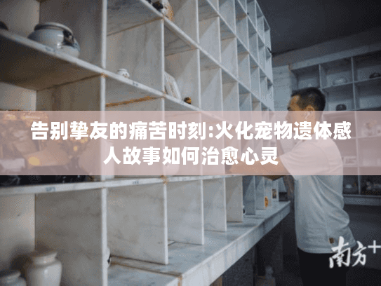 告别挚友的痛苦时刻:火化宠物遗体感人故事如何治愈心灵