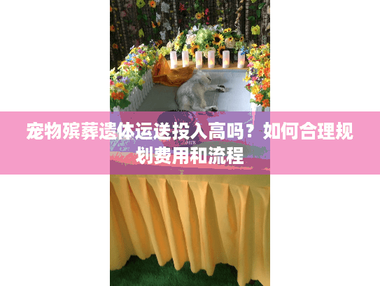 宠物殡葬遗体运送投入高吗？如何合理规划费用和流程
