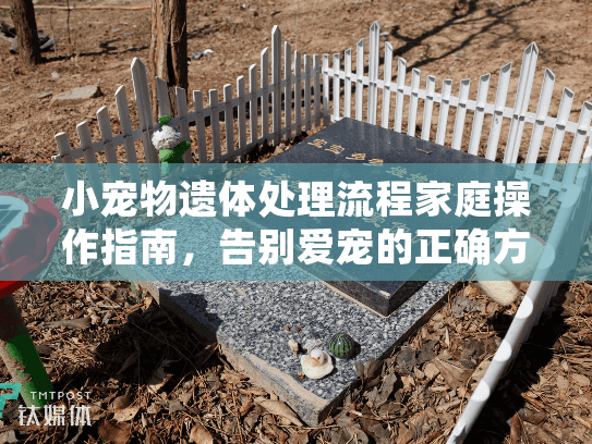 小宠物遗体处理流程家庭操作指南，告别爱宠的正确方式