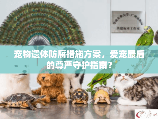 宠物遗体防腐措施方案，爱宠最后的尊严守护指南？