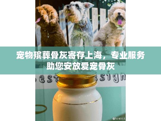 宠物殡葬骨灰寄存上海，专业服务助您安放爱宠骨灰
