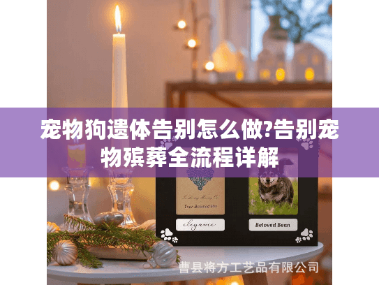 宠物狗遗体告别怎么做?告别宠物殡葬全流程详解