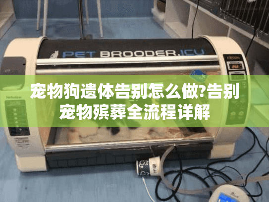 宠物狗遗体告别怎么做?告别宠物殡葬全流程详解