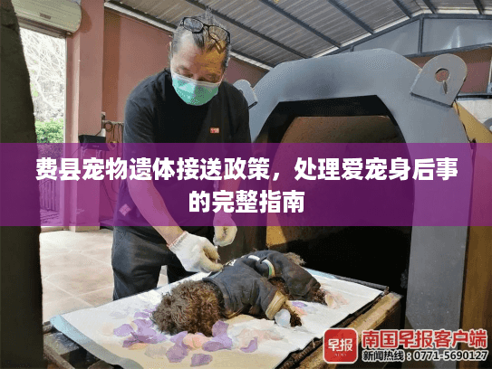 费县宠物遗体接送政策，处理爱宠身后事的完整指南