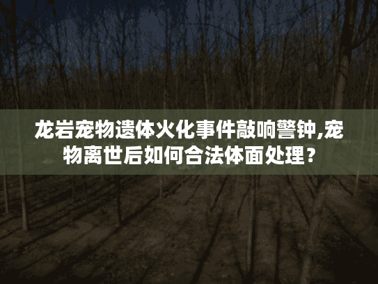 龙岩宠物遗体火化事件敲响警钟,宠物离世后如何合法体面处理？