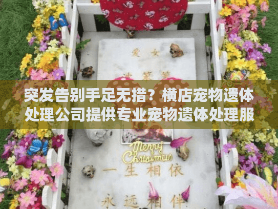突发告别手足无措？横店宠物遗体处理公司提供专业宠物遗体处理服务