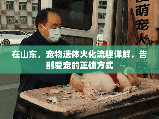在山东，宠物遗体火化流程详解，告别爱宠的正确方式