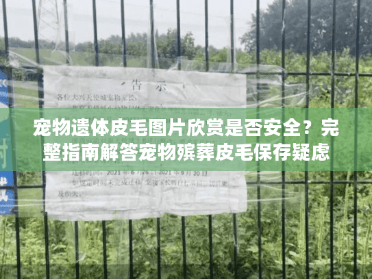 宠物遗体皮毛图片欣赏是否安全？完整指南解答宠物殡葬皮毛保存疑虑