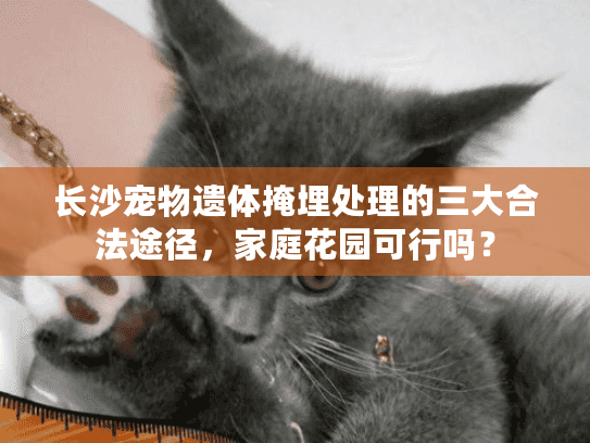 长沙宠物遗体掩埋处理的三大合法途径，家庭花园可行吗？