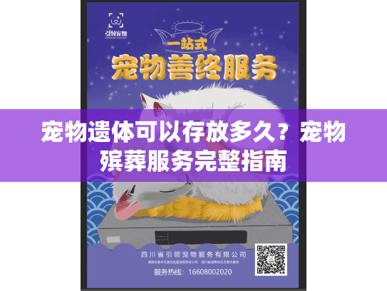 宠物遗体可以存放多久？宠物殡葬服务完整指南