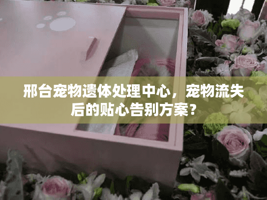 邢台宠物遗体处理中心，宠物流失后的贴心告别方案？