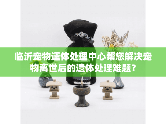 临沂宠物遗体处理中心帮您解决宠物离世后的遗体处理难题？