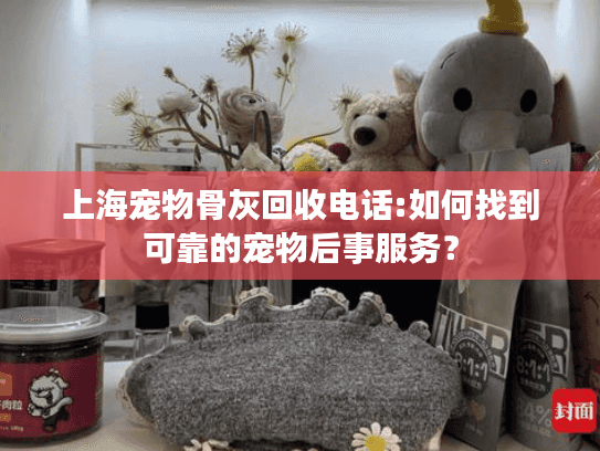 上海宠物骨灰回收电话:如何找到可靠的宠物后事服务？