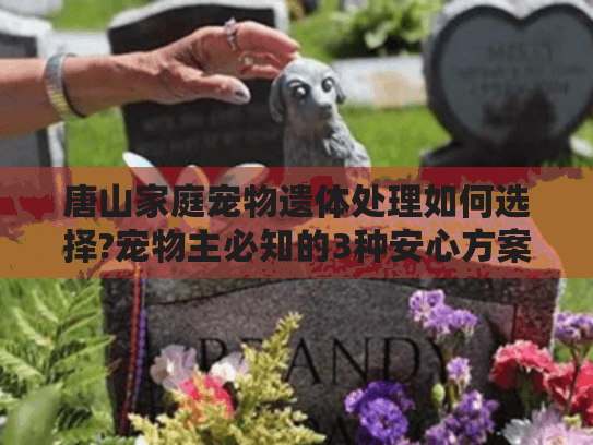 唐山家庭宠物遗体处理如何选择?宠物主必知的3种安心方案