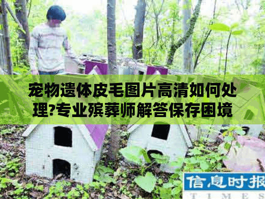 宠物遗体皮毛图片高清如何处理?专业殡葬师解答保存困境