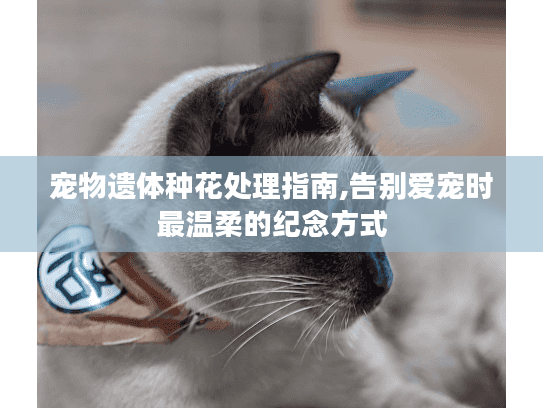 宠物遗体种花处理指南,告别爱宠时最温柔的纪念方式
