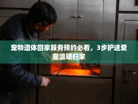 宠物遗体回家服务预约必看，3步护送爱宠温暖归家