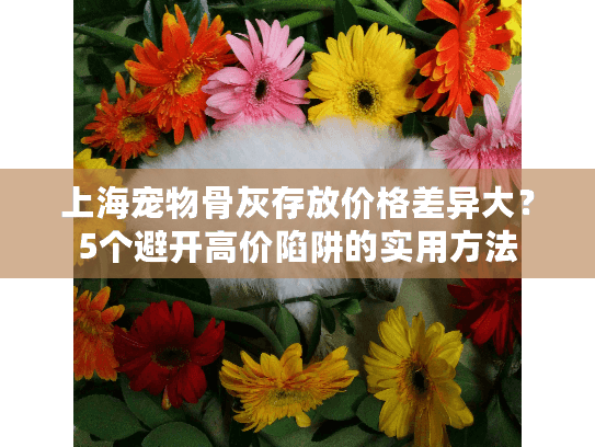 上海宠物骨灰存放价格差异大？5个避开高价陷阱的实用方法