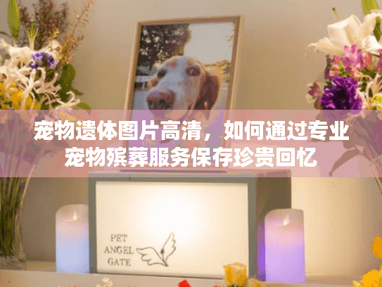 宠物遗体图片高清，如何通过专业宠物殡葬服务保存珍贵回忆