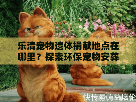 乐清宠物遗体捐献地点在哪里？探索环保宠物安葬服务新选择