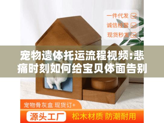 宠物遗体托运流程视频:悲痛时刻如何给宝贝体面告别?