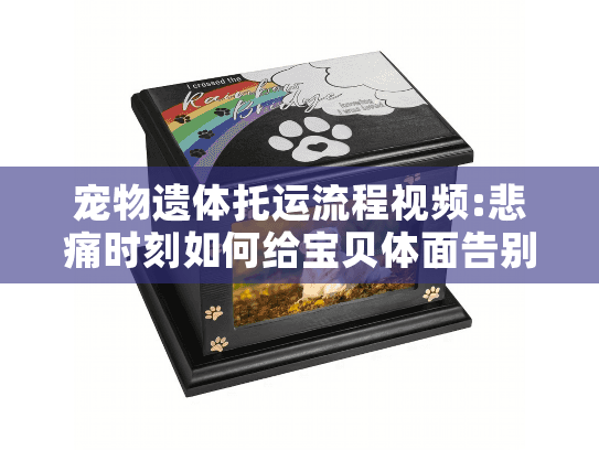 宠物遗体托运流程视频:悲痛时刻如何给宝贝体面告别?