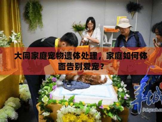 大同家庭宠物遗体处理，家庭如何体面告别爱宠？