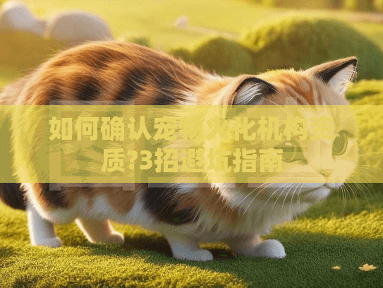 如何确认宠物火化机构资质?3招避坑指南 如何确认宠物火化机构资质?3招避坑指南