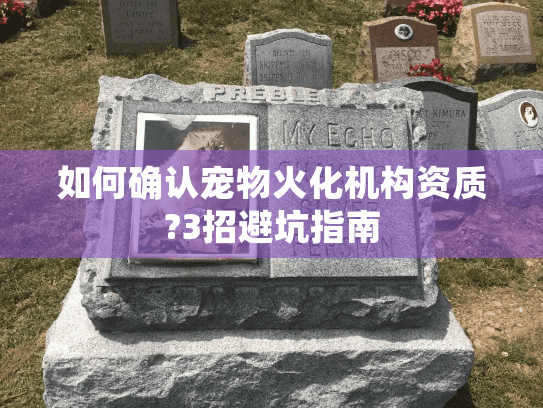 如何确认宠物火化机构资质?3招避坑指南 如何确认宠物火化机构资质?3招避坑指南