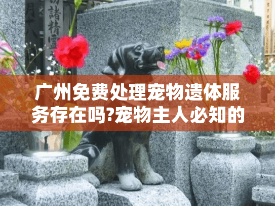 广州免费处理宠物遗体服务存在吗?宠物主人必知的5个替代方案