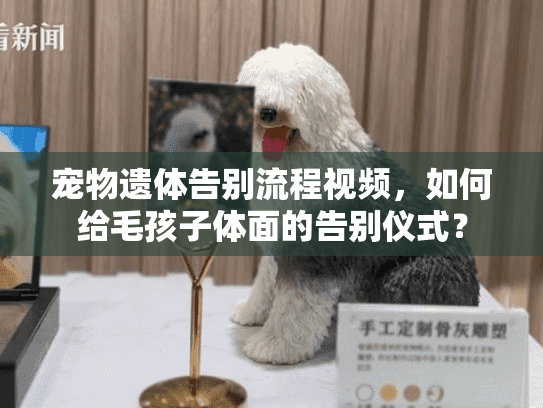 宠物遗体告别流程视频，如何给毛孩子体面的告别仪式？
