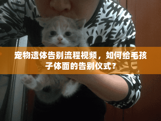 宠物遗体告别流程视频，如何给毛孩子体面的告别仪式？