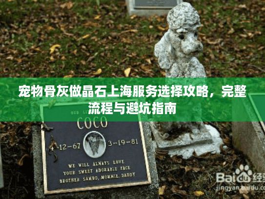 宠物骨灰做晶石上海服务选择攻略，完整流程与避坑指南