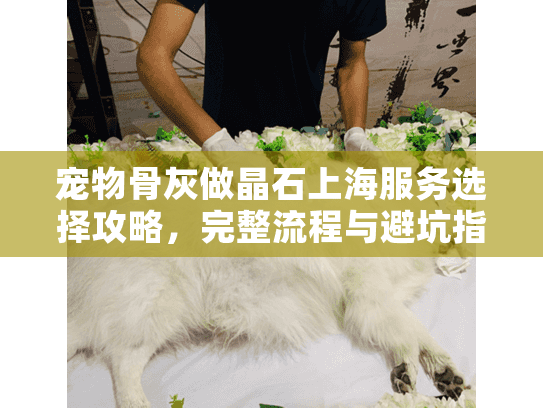 宠物骨灰做晶石上海服务选择攻略，完整流程与避坑指南
