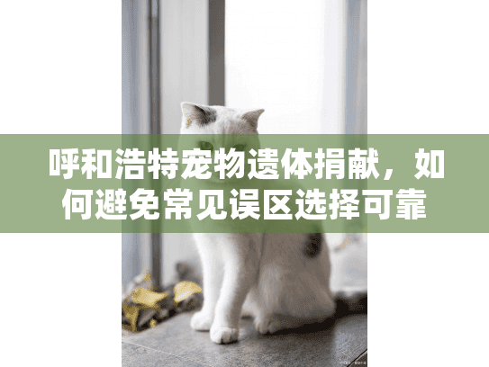 呼和浩特宠物遗体捐献，如何避免常见误区选择可靠服务？