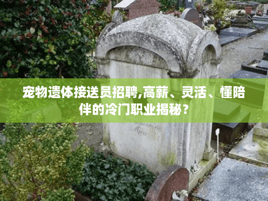 宠物遗体接送员招聘,高薪、灵活、懂陪伴的冷门职业揭秘？