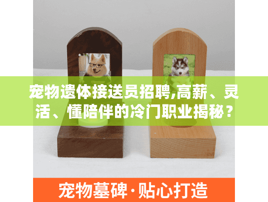 宠物遗体接送员招聘,高薪、灵活、懂陪伴的冷门职业揭秘？