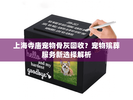 上海寺庙宠物骨灰回收？宠物殡葬服务新选择解析